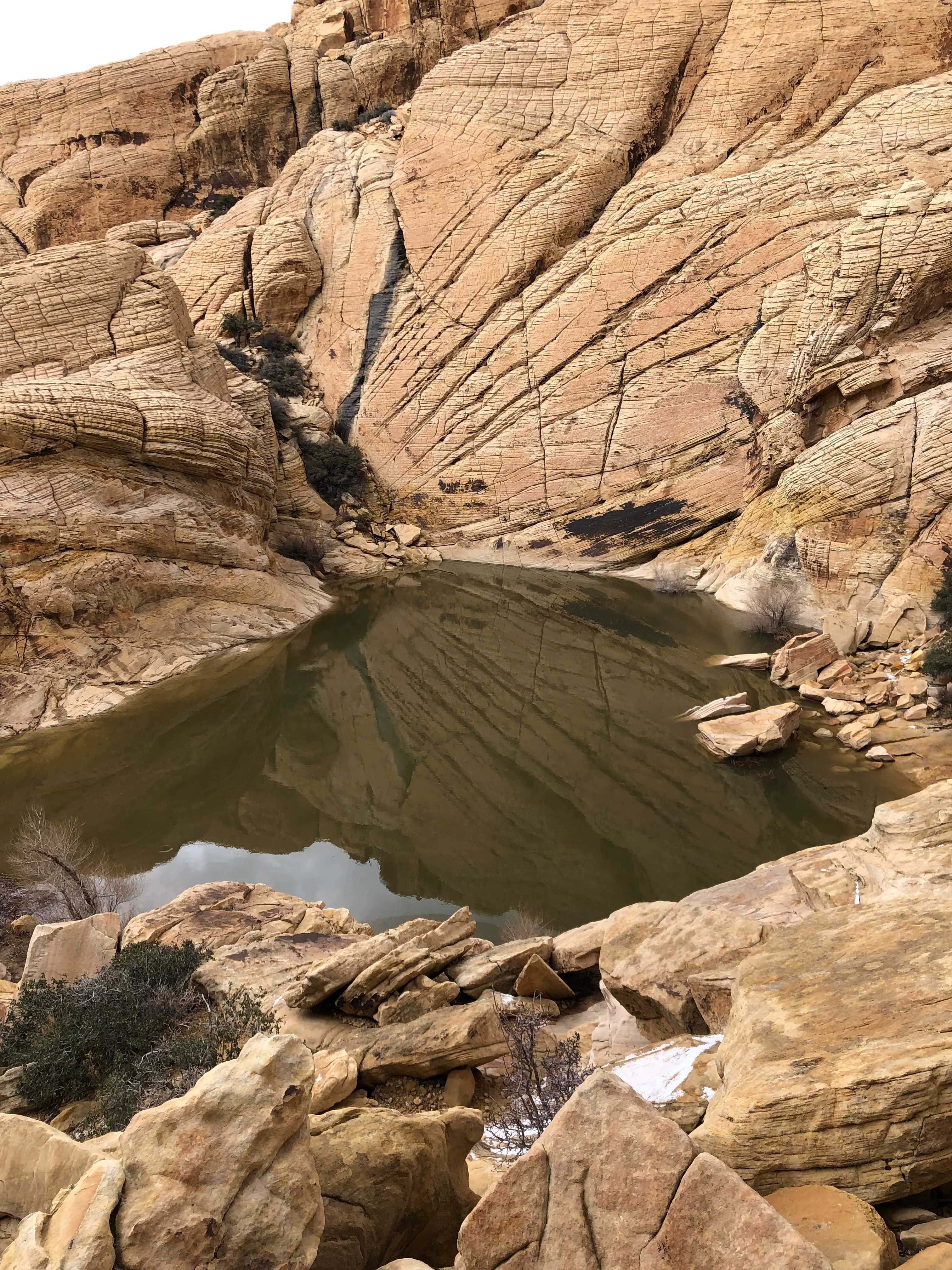 snow melt pond in red rock national park