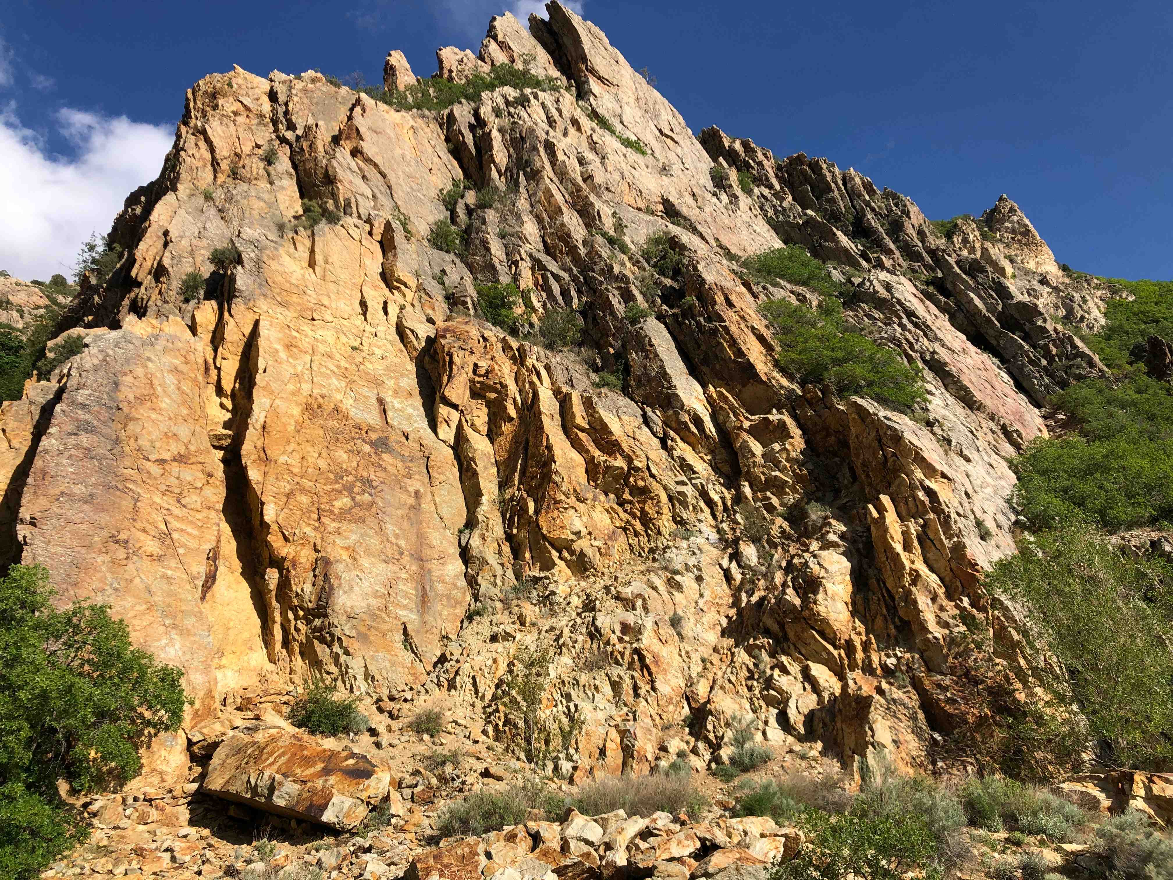 rock climbing wall in utah